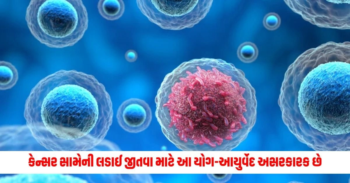 Cancer : કેન્સર સામેની લડાઈ જીતવા માટે આ યોગ-આયુર્વેદ અસરકારક છે https://www.pravinews.com/gujarat-news/how-rajkot-airport-canopy-collapsed-passengers-narrow-escape-16377