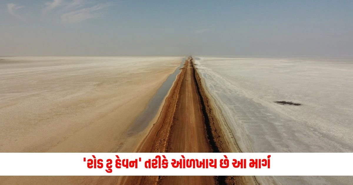 Travel News: 'રોડ ટુ હેવન' તરીકે ઓળખાય છે આ માર્ગ? જાણો ક્યાં આવેલો છે https://www.pravinews.com/entertainment/bollywood-movies-releases-in-july-2024-ajay-devgn-auron-mein-kanha-dum-tha-akshay-kumar-sarfira-and-more-films-16414