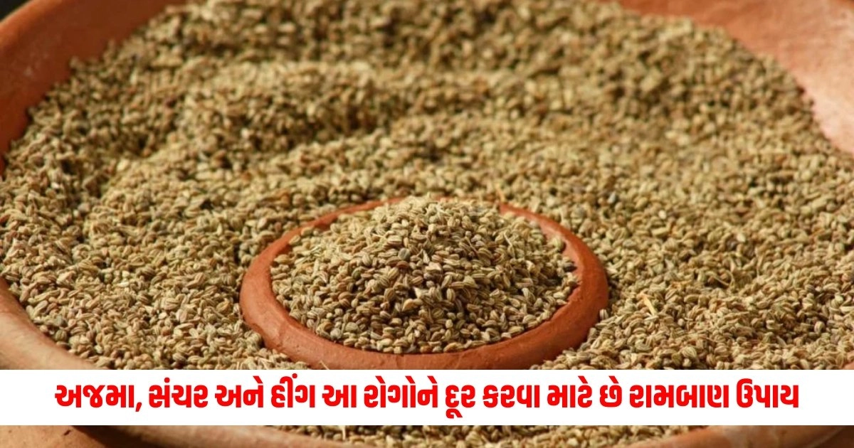 Health Tips: અજમા, સંચર અને હીંગ આ રોગોને દૂર કરવા માટે છે રામબાણ ઉપાય, જાણો તેનો ઉપયોગ કરવાની રીત https://www.pravinews.com/lifestyle/health-fitness/which-food-is-good-in-morning-empty-stomach-jaggery-garlic-kishmish-and-almond-13521