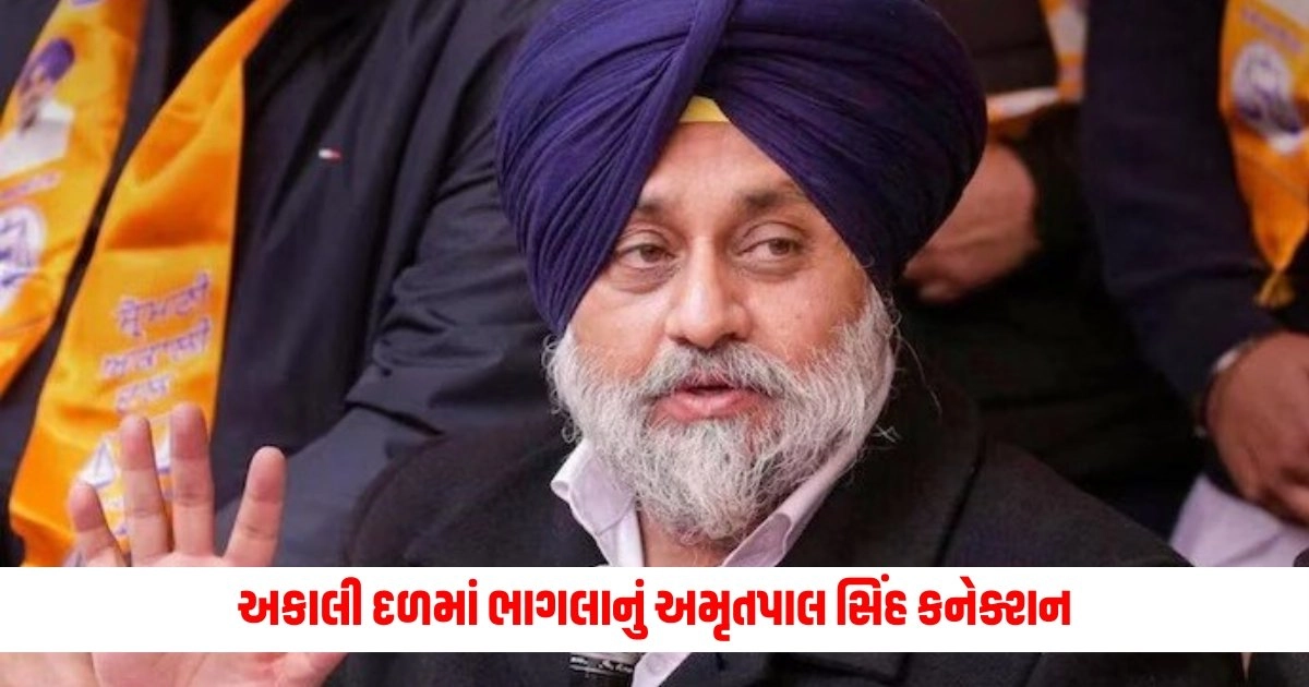 Akali Dal : અકાલી દળમાં ભાગલાનું અમૃતપાલ સિંહ કનેક્શન https://www.pravinews.com/world-news-in-gujarati/vande-bharat-speed-cut-down-delhi-khajuraho-and-delhi-rani-kamlapati-vande-bharat-ka-kiraya-15397