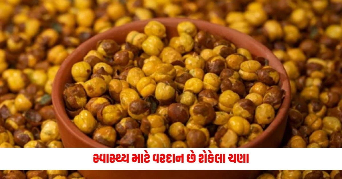 Benefits of Roasted Chana : સ્વાસ્થ્ય માટે વરદાન છે શેકેલા ચણા, તેને ખાવાથી મળે છે ગજબના ફાયદા https://www.pravinews.com/gujarat-news/vadodara-airport-received-bomb-threat-email-security-heightened-13392