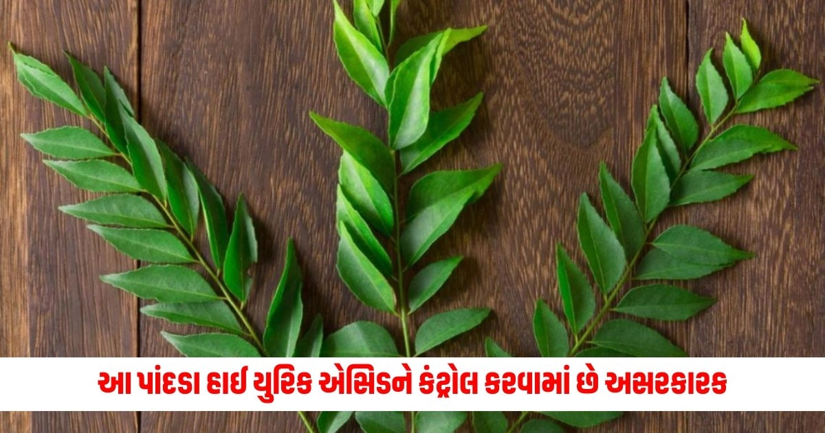 High Uric Acid : આ 5 પાંદડા હાઈ યુરિક એસિડને કંટ્રોલ કરવામાં છે ખૂબ જ અસરકારક https://www.pravinews.com/business/fatf-admires-india-s-efforts-to-curb-money-laundering-16187