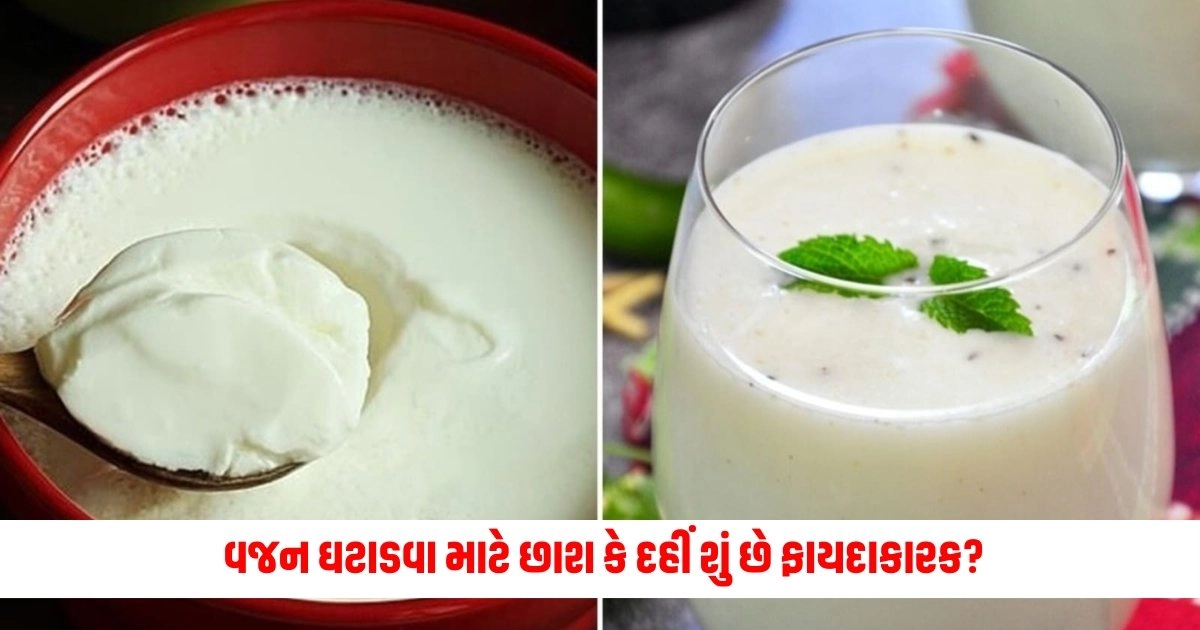 Weight Loss: વજન ઘટાડવા માટે છાશ કે દહીં શું છે ફાયદાકારક? જાણો તેના ફાયદાઓ https://www.pravinews.com/international-news/kuwait-government-will-give-compensation-of-15-thousand-dollars-to-the-families-of-those-killed-in-the-fire-13549