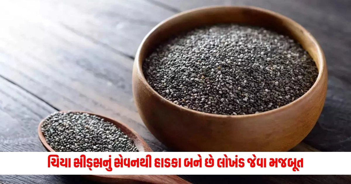 Benefits of Chia Seeds : ચિયા સીડ્સનું સેવનથી હાડકા બને છે લોખંડ જેવા મજબૂત, જાણો કેવી રીતે સેવન કરવું? https://www.pravinews.com/gujarat-news/gujarat-surat-accident-car-hit-people-father-uncle-along-with-eight-year-old-child-died-11484