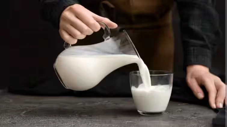 Raw Milk vs Boil Milk: હેમખેમ રહેવું હોય તો કાચું દૂધ પીવાનું ટાળો 2 Raw Milk vs Boil Milk: હેમખેમ રહેવું હોય તો કાચું દૂધ પીવાનું ટાળો https://www.pravinews.com/lifestyle/health-fitness/diet-tips-boil-milk-side-effects-know-boil-milk-benefits-in-gujarati-15540