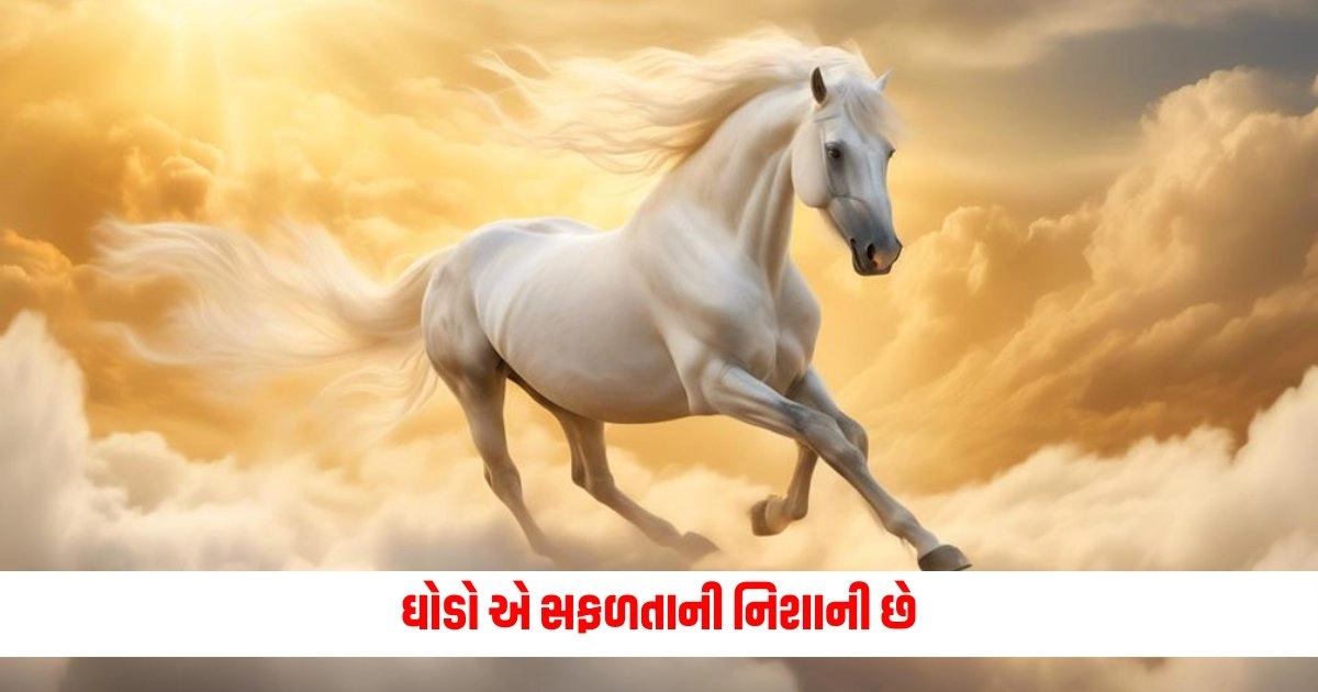 Dream Interpretation: ઘોડો એ સફળતાની નિશાની છે, શું તમે જાણો છો તેનું અર્થ? https://www.pravinews.com/world-news-in-gujarati/neet-paper-leak-case-supreme-court-issues-notice-on-third-petition-says-there-is-no-hurry-14694