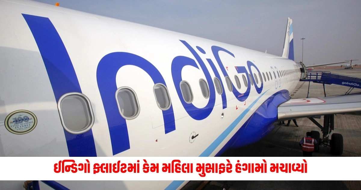 Indigo Flight: ઈન્ડિગો ફ્લાઈટમાં કેમ મહિલા મુસાફરે હંગામો મચાવ્યો https://www.pravinews.com/world-news-in-gujarati/maharashtra-ajit-pawar-mukhyanantri-majhi-ladki-bahin-bonus-to-all-farmers-anna-chhatra-yojana-16040