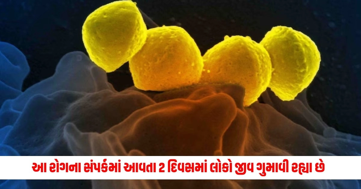 Flesh Eating Bacteria : જાપાનમાં ફેલાયો રોગચાળો, આ રોગના સંપર્કમાં આવતા 2 દિવસમાં લોકો જીવ ગુમાવી રહ્યા છે https://www.pravinews.com/world-news-in-gujarati/new-delhi-city-ncr-delhi-jal-board-office-vandalized-by-unidentified-people-in-chhatarpur-12903