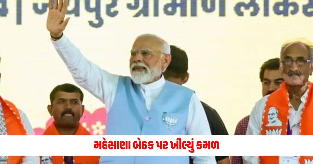 Mehsana Election 2024 Result: મહેસાણા બેઠક પર ખીલ્યું કમળ, ભાજપના ઉમેદવારે પાક્કી કરી પોતાની જીત https://www.pravinews.com/gujarat-news/cj-chavda-wins-from-vijapur-victory-of-arjun-modhwadia-from-porbandar-10750