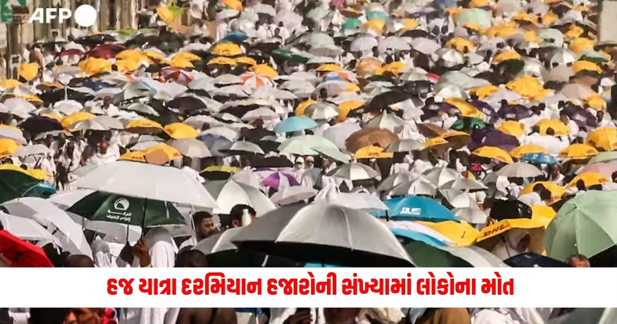 Hajj Yatra 2024 Death : હજ યાત્રા દરમિયાન હજારોની સંખ્યામાં લોકોના મોત, મહત્વના ખુલાસો મળતા લોકો આશ્ચર્યચકિત થઈ ગયા https://www.pravinews.com/international-news/russia-use-three-ton-fab-3000-bomb-to-destroying-infrastructure-of-ukraine-announced-blackout-across-country-14203