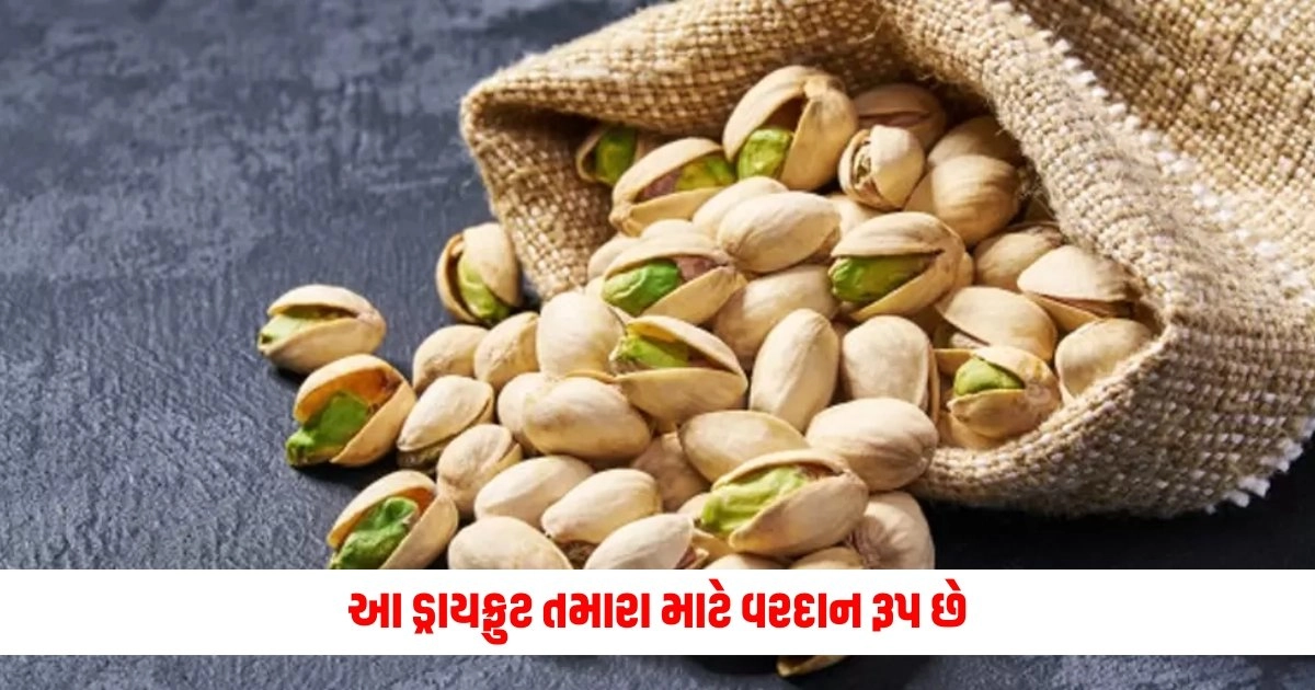 Pistachio Pista: આ ડ્રાયફ્રુટ તમારા માટે વરદાન રૂપ છે, તેના ફાયદા જાણીને તમને આશ્ચર્ય થશે. https://www.pravinews.com/lifestyle/health-fitness