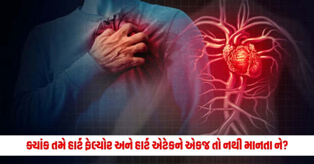 Heart Disease: ક્યાંક તમે હાર્ટ ફેલ્યોર અને હાર્ટ એટેકને એકજ તો નથી માનતા ને? ચાલો જણાવ્યે તેમના વચ્ચે શું છે તફાવત https://www.pravinews.com/travel-news/travel-tips-enjoy-tourist-spots-and-save-money-try-these-ultimate-easy-tips-for-happy-journey-13301