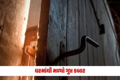 offbeat , News on offbeat , stories on offbeat , articles on offbeat , offbeat stories at Pravi news Network, offbeat news, offbeat latest news , Latest offbeat Update, Live Offbeat News In pravinews.com, Offbeat headline, Offbeat news, offbeat Update, Today’s Offbeat News, Current Offbeat News In Gujarat, Offbeat News 2024,