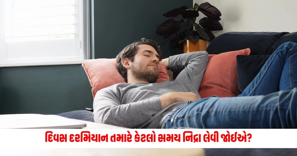 Health Benefits of taking a Nap : દિવસ દરમિયાન તમારે કેટલો સમય નિદ્રા લેવી જોઈએ? મળશે માત્ર ફાયદો જ ફાયદો https://www.pravinews.com/sports/t20-world-cup-2024-india-vs-canada-match-live-scores-in-hindi-rohit-sharma-virat-kohli-jasprit-bumrah-can-vs-ind-scorecard-florida-weather-updates-12740