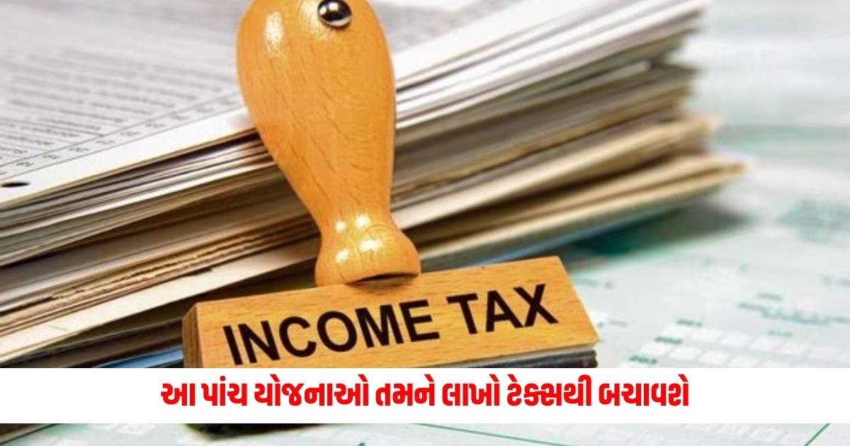 Tax Savings Tips : આ પાંચ યોજનાઓ તમને લાખો ટેક્સથી બચાવશે; રિટર્ન પણ જોરદાર મળશે; પૈસા રહેશે સુરક્ષિત https://www.pravinews.com/lifestyle/health-fitness/consuming-chia-seeds-strengthens-bones-and-provides-numerous-benefits-to-the-body-know-how-to-consume-them-11479