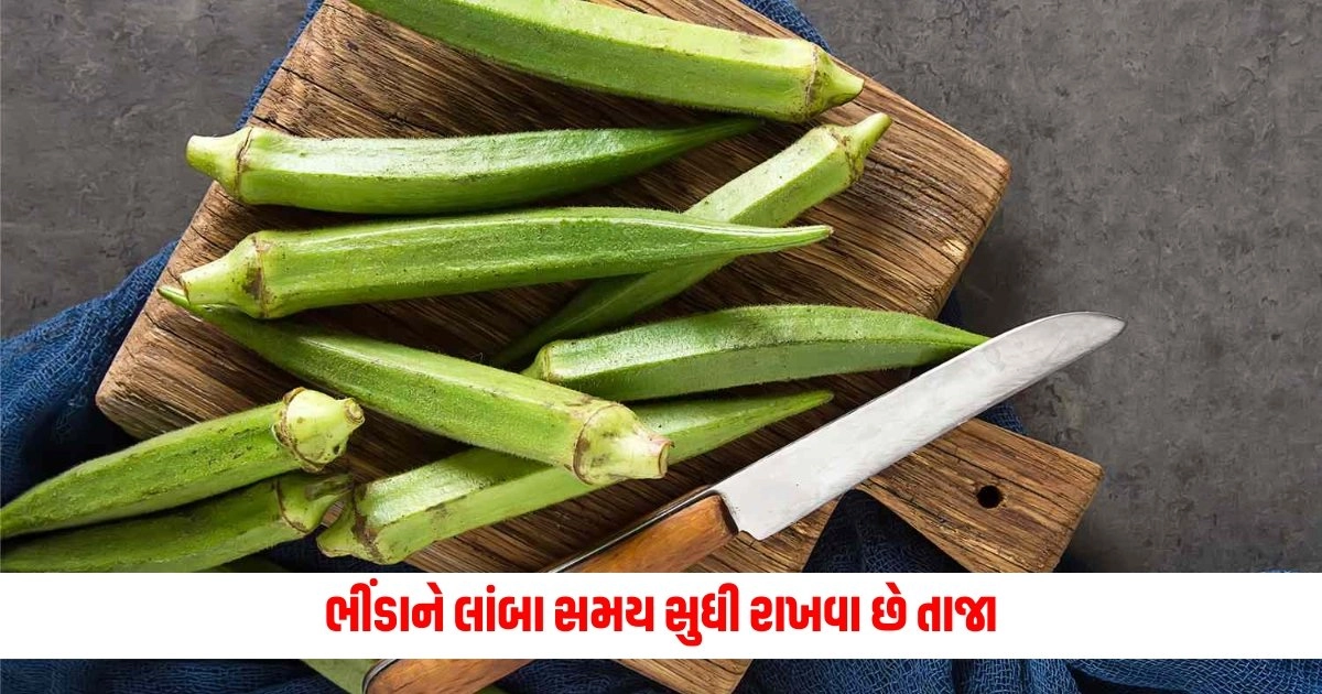 Kitchen Tips : ભીંડાને લાંબા સમય સુધી રાખવા છે તાજા?, આ સરળ રીતોને અનુસરો https://www.pravinews.com/ajab-gajab/good-news-for-snoring-people-as-they-can-get-pip-monthly-payment-of-rs-78000-per-month-15277