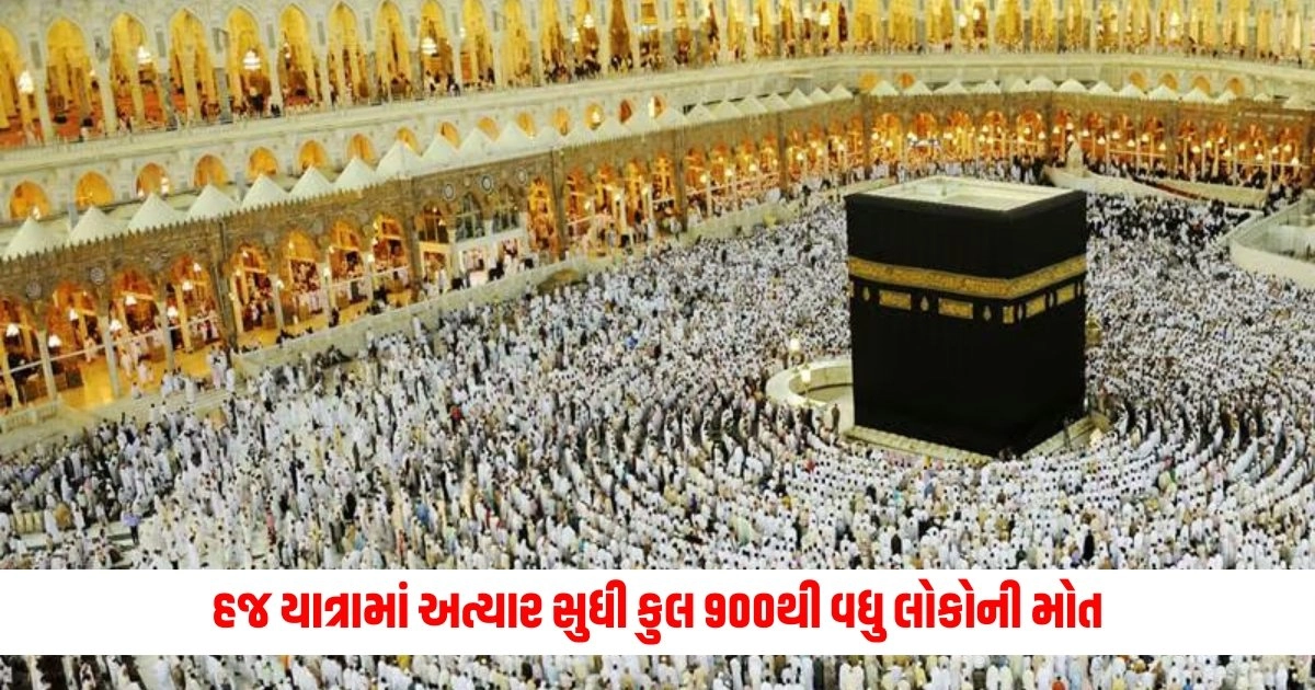 Hajj Yatra: હજ યાત્રીઓ ગરમીથી ત્રસ્ત, અત્યાર સુધી કુલ 900થી વધુ લોકોની મોત, મોતનો એકડો સતત વધી રહ્યો છે https://www.pravinews.com/technology/launch-vivo-y58-5g-launched-in-india-with-6000mah-battery-and-50mp-camera-13835