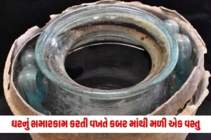 offbeat , News on offbeat , stories on offbeat , articles on offbeat , offbeat stories at Pravi news Network, offbeat news, offbeat latest news , Latest offbeat Update, Live Offbeat News In pravinews.com, Offbeat headline, Offbeat news, offbeat Update, Today’s Offbeat News, Current Offbeat News In Gujarat, Offbeat News 2024,