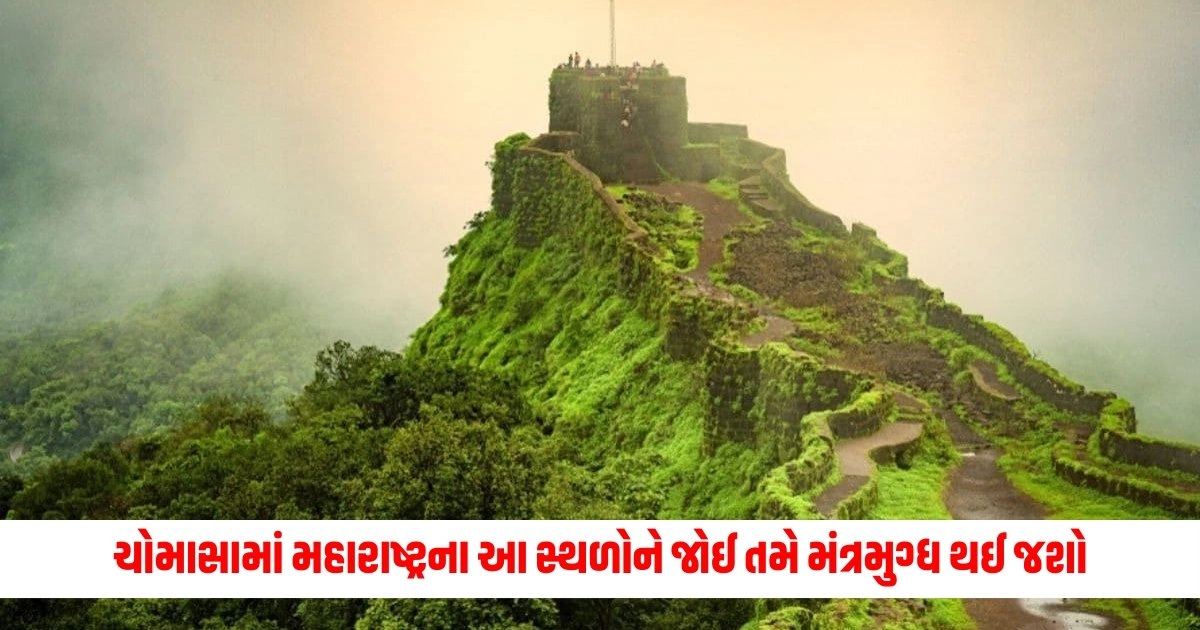 Monsoon Places: ચોમાસામાં મહારાષ્ટ્રના આ સ્થળોને જોઈ તમે મંત્રમુગ્ધ થઈ જશો, સુંદરતા આવી કે પાછું આવાનું મન નહિ થાય https://www.pravinews.com/travel-news/travel-shiva-devotee-do-not-miss-these-places-in-himachal-14847