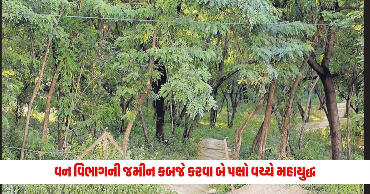 Shivpuri News: વન વિભાગની જમીન કબજે કરવા બે પક્ષો વચ્ચે મહાયુદ્ધ https://www.pravinews.com/world-news-in-gujarati/cbi-in-action-in-neet-paper-leak-case-arrested-manish-prakash-8-people-interrogated-in-hazaribagh-15739