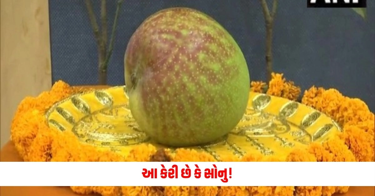 ajab gajab : આ કેરી છે કે સોનુ! એક કિલો કેરીનો ભાવ એટલો કે આવી જશે રોયલ એનફિલ્ડ બુલેટ, 325 જાતોમાં બન્યું આકર્ષણનું કેન્દ્ર https://www.pravinews.com/entertainment/fardeen-khan-trolls-before-comeback-in-sanjay-leela-bhansali-web-series-it-a-challenging-time-12213