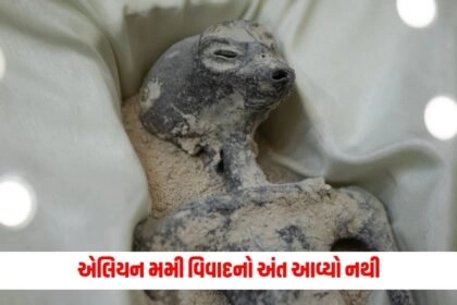 offbeat , News on offbeat , stories on offbeat , articles on offbeat , offbeat stories at Pravi news Network, offbeat news, offbeat latest news , Latest offbeat Update, Live Offbeat News In pravinews.com, Offbeat headline, Offbeat news, offbeat Update, Today’s Offbeat News, Current Offbeat News In Gujarat, Offbeat News 2024,