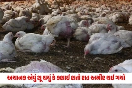 offbeat , News on offbeat , stories on offbeat , articles on offbeat , offbeat stories at Pravi news Network, offbeat news, offbeat latest news , Latest offbeat Update, Live Offbeat News In pravinews.com, Offbeat headline, Offbeat news, offbeat Update, Today’s Offbeat News, Current Offbeat News In Gujarat, Offbeat News 2024,