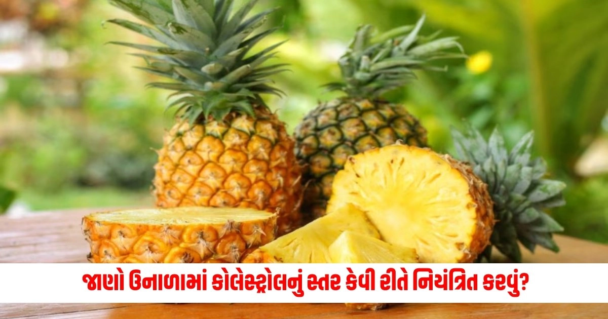 How to Control Cholesterol Level : કરો છો પોતાની જાતને પ્રેમ, તો જાણો ઉનાળામાં કોલેસ્ટ્રોલનું સ્તર કેવી રીતે નિયંત્રિત કરવું? https://www.pravinews.com/gujarat-news/sending-children-to-school-will-become-expensive-school-bus-drivers-have-increased-the-fare-12010