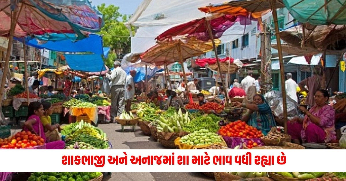 Prices Of Food : શાકભાજી અને અનાજમાં શા માટે ભાવ વધી રહ્યા છે, શું છે તેનું કારણ? https://www.pravinews.com/lifestyle/health-fitness/health-benefits-of-swimming-for-heart-brain-and-respiratory-system-14103