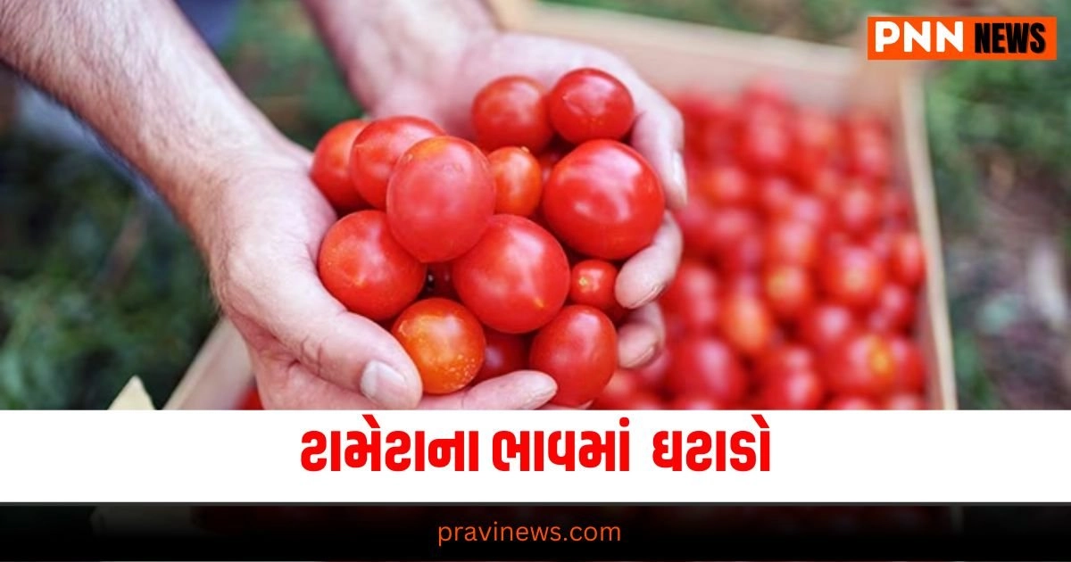 Business News in Gujarati, બિઝનેસ સમાચાર, personal finance news, Share market news updates, Stock market news, IPO News, NIFTY Update, Latest Business Gujarati News, બિઝનેસ ન્યૂઝ, વ્યાપાર સમાચાર, વ્યાપાર ન્યુઝ, Latest Business News, Live Business Update, Business Headline, Today’s Business Update, Current Business News, Business Live Updates In Pravi News Network, Business News, Business Update,