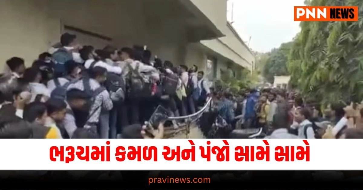 Bharuch News, Latest Gujarat update, live Gujarat news, Gujarat news, Gujarat samchaar, todays latest Gujarat news, gujarati samchaar, Gujarat, Gujarat news, current Gujarat update, Gujarat headline