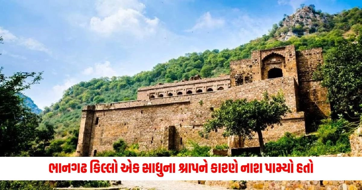 Bhangarh Fort: ભાનગઢ કિલ્લો એક સાધુના શ્રાપને કારણે નાશ પામ્યો હતો, આજે તે વિશ્વભરમાં પ્રવાસન સ્થળ બની ગયો છે. https://www.pravinews.com/lifestyle/fashion-news/do-you-want-to-look-stylish-while-also-being-trendy-so-try-these-dressing-tips-17026