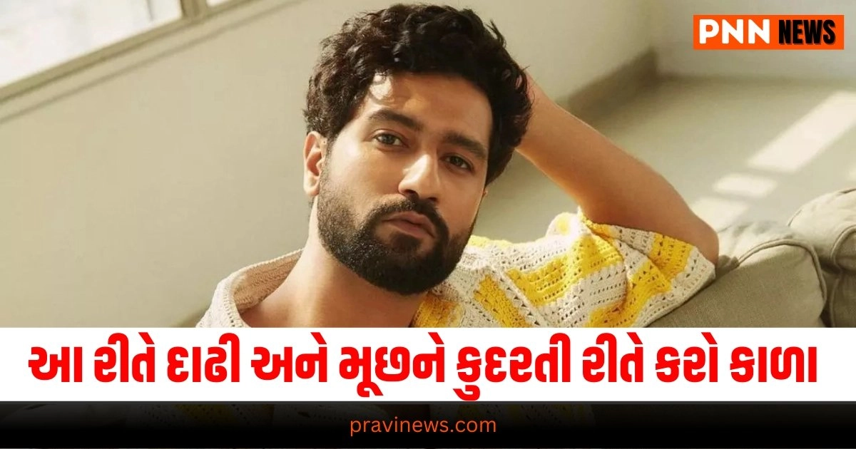 Beard And Mustache Care Tips, Fashion News Gujarati, Fashion News, Fashion News in Gujarati, ફેશન સમાચાર, ફેશન સમાચાર ગુજરાતીમાં, Fashion gujarati news, Fashion news update in gujarati, Fashion gujarati articles, gujarati News on Fashion, Fashion articles in gujarati, Fashion samachar in gujarati, gujarati samachar Fashion, Live Fashion Tips, Latest Fashion Update, Fashion Tips 2024,Fashion Headline, Fashion News, Fashion Update, Latest Fashion Style News, Live Fashion Style Tips, Fashion headline, Top Fashion Tips, Best Fashion Style, Fashion Style Update In Pravi News Network