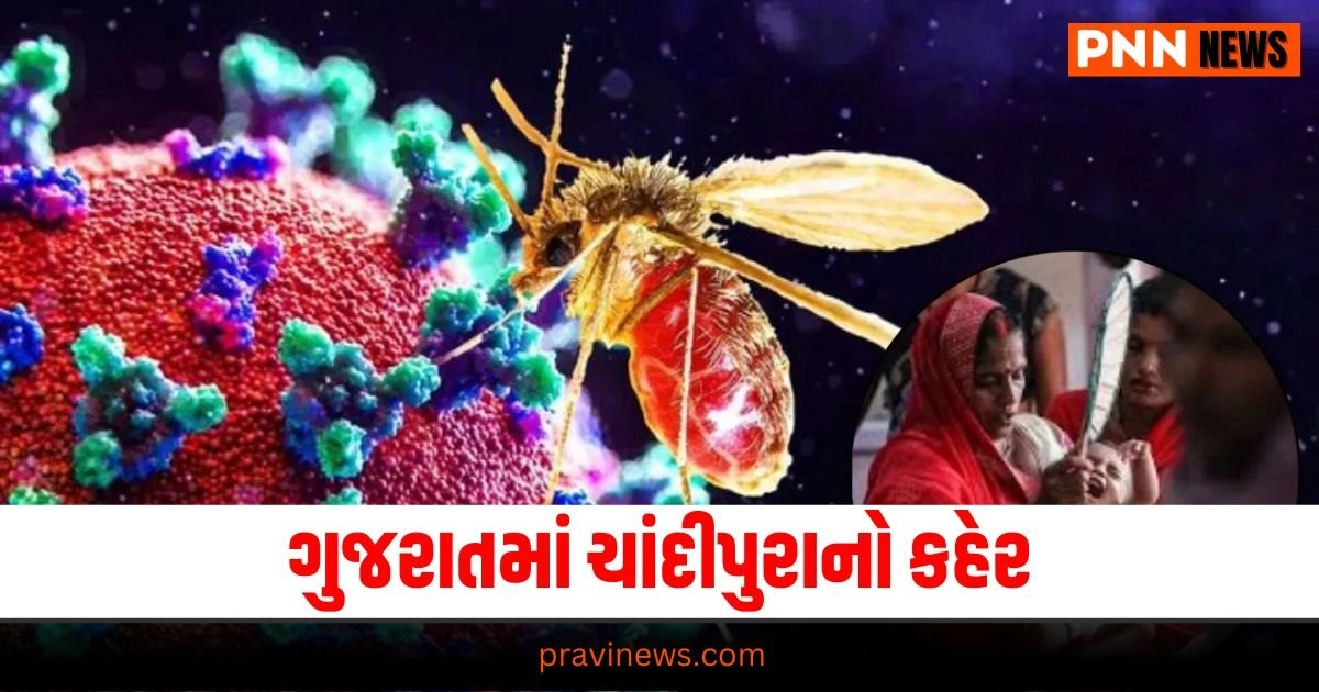 Chandipura Virus , Gujarati News, Gujarat News, Latest News in Gujarati, ગુજરાતી ન્યૂઝ, Daily Gujarati News Paper, Latest Gujarat Update, Live Gujarat News, Gujarat Samachar,Gujarat Headline, Today’s Gujarat News, Current Gujarat Upadte, Daily Gujarat News, Live Gujarat News In Pravi News Network