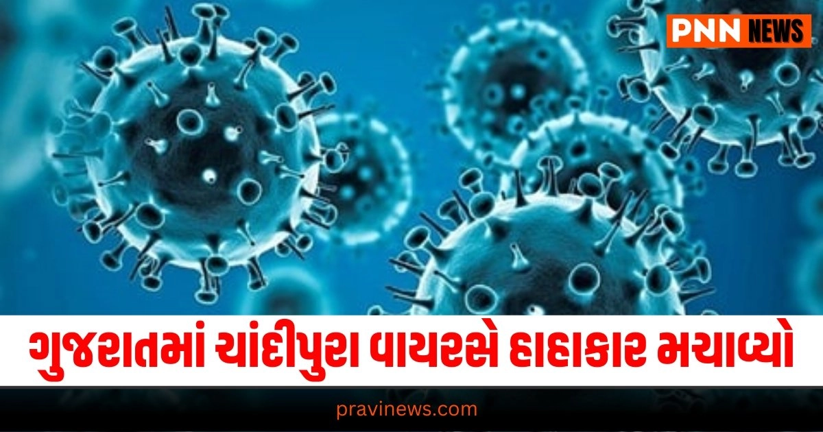 Chandipura Virus, Latest Gujarat update, live Gujarat news, Gujarat news, Gujarat samchaar, todays latest Gujarat news, gujarati samchaar, Gujarat, Gujarat news, current Gujarat update, Gujarat headline, Gujarat update 2024,