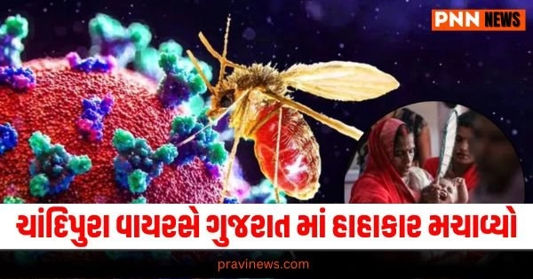 Chandipura Virus, Gujarati News, Gujarat News, Latest News in Gujarati, ગુજરાતી ન્યૂઝ, Daily Gujarati News Paper, Latest Gujarat Update, Live Gujarat News, Gujarat Samachar,Gujarat Headline, Today’s Gujarat News, Current Gujarat Upadte, Daily Gujarat News, Live Gujarat News In Pravi News Network,