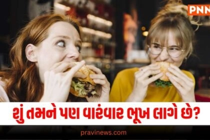 Latest Food News In Gujarati, live food update , food headline, today’s food recipe, current food recipe, top food recipe, latest food update, live food recipe, shantishram food recipe, food update, food news, food tips, latest food tips recipe, live food tips, shantishram food tips,