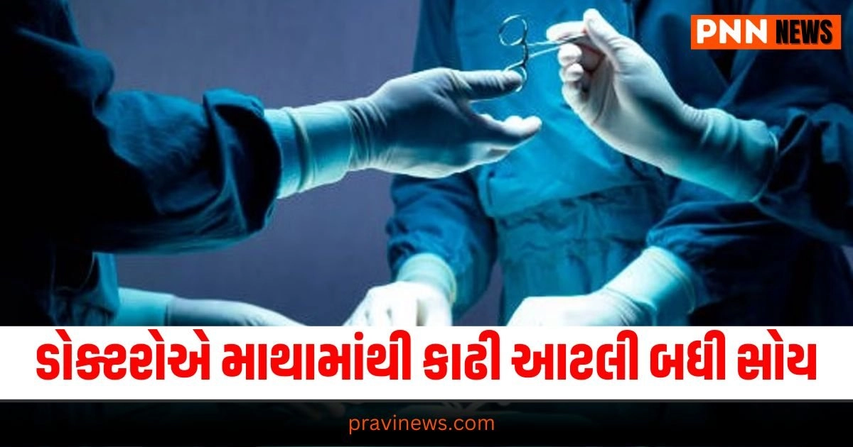 India News, (ભારત સમાચાર): India News In Gujarati, ઇન્ડિયા ન્યુઝ,Latest India News Today, National News Videos, Nation News Gujarati Online, Latest National Update, Live National News, Today’s National News, Current National Update,