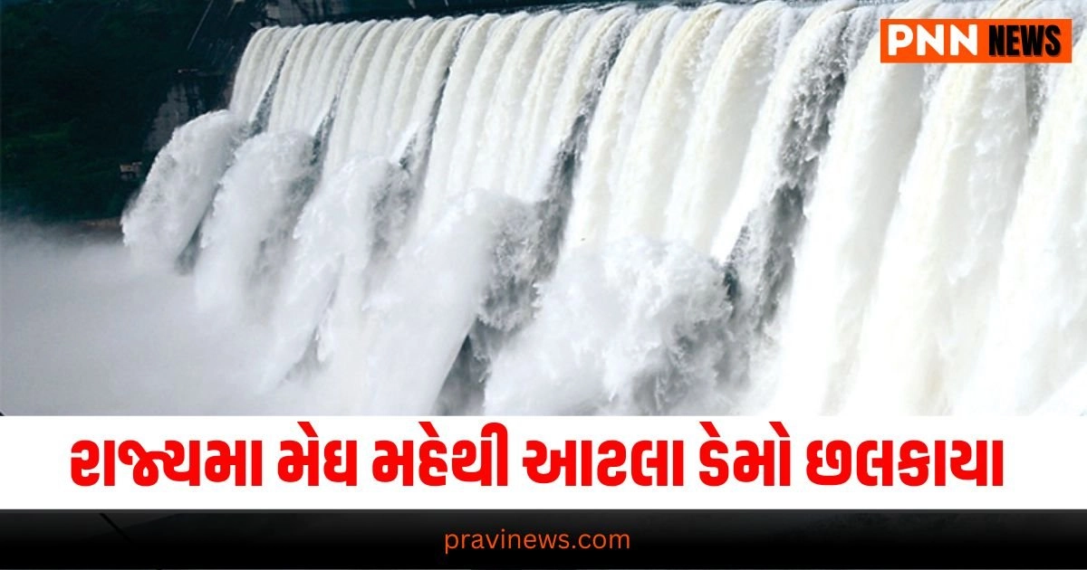 Gujarat, Gujarati News, Gujarat News, Latest News in Gujarati, ગુજરાતી ન્યૂઝ, Daily Gujarati News Paper, Latest Gujarat Update, Live Gujarat News, Gujarat Samachar,Gujarat Headline, Today’s Gujarat News, Current Gujarat Upadte, Daily Gujarat News, Live Gujarat News In Pravi News Network,