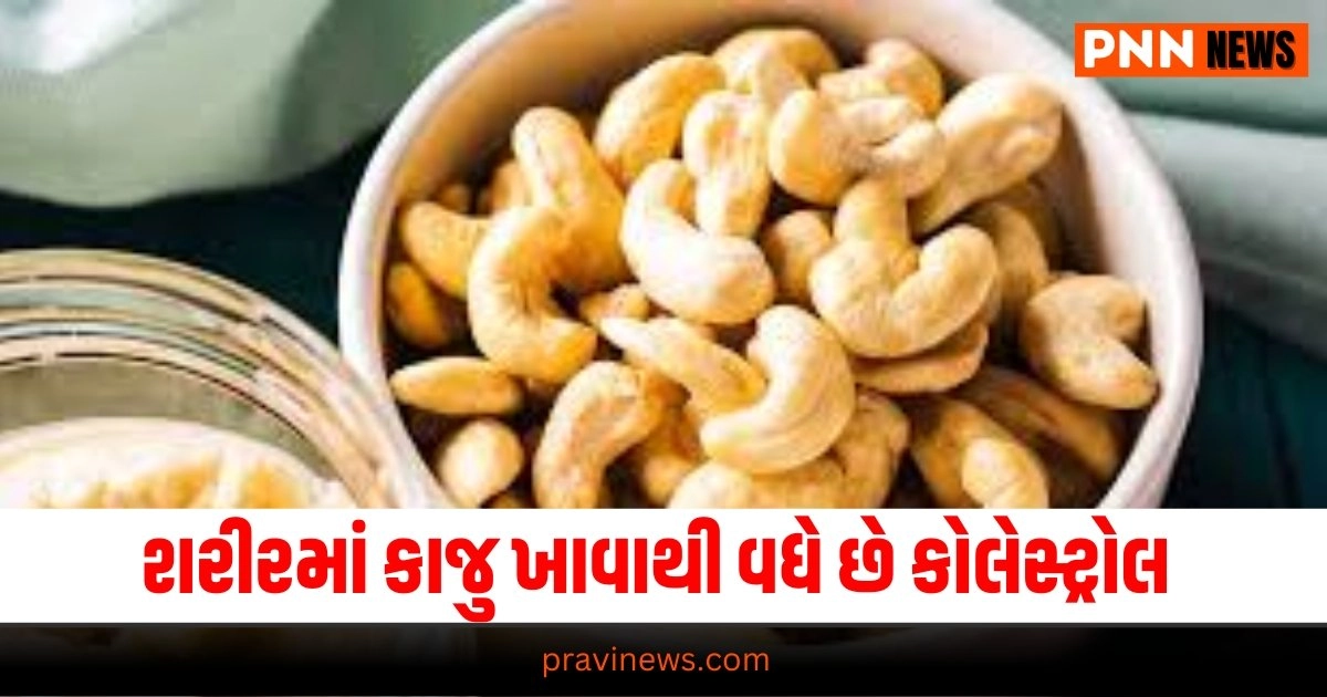 Cholesterol, Health tips Gujarati, Health news, આરોગ્ય સમાચાર, ગુજરાતીમાં આરોગ્ય સમાચાર, Health gujarati news, Health news in gujarati, Health news update in gujarati, gujarati Health articles, gujarati News on Health, Health articles in gujarati, Health Headline, Health News, Health Update, Latest Health News In Gujarati, Health Live Update, Today’s Health Fitness News, current Health Update, Health Live Headline, Pravi Health News, Health News 2024,