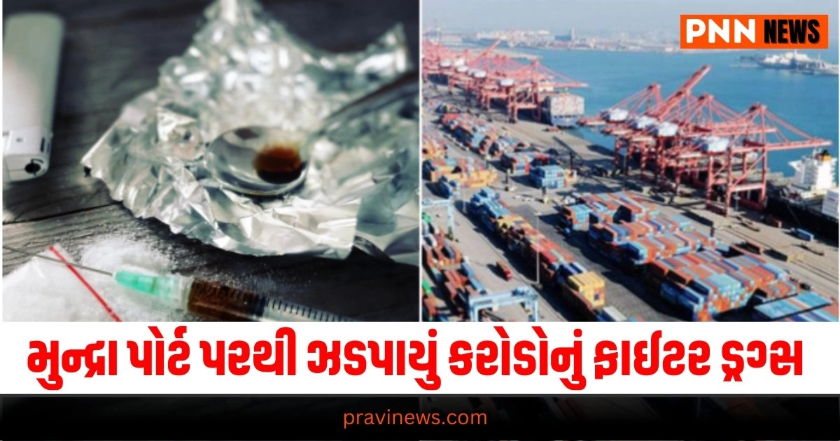 Gujarat, Gujarati News, Gujarat News, Latest News in Gujarati, ગુજરાતી ન્યૂઝ, Daily Gujarati News Paper, Latest Gujarat Update, Live Gujarat News, Gujarat Samachar,Gujarat Headline, Today’s Gujarat News, Current Gujarat Upadte, Daily Gujarat News, Live Gujarat News In Pravi News Network,