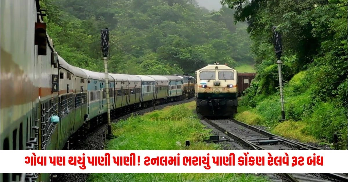 Goa Train : ગોવા પણ થયું પાણી પાણી! ટનલમાં ભરાયું પાણી કોંકણ રેલવે રૂટ બંધ, 12 ટ્રેનો રદ https://www.pravinews.com/world-news-in-gujarati/pm-narendra-modi-received-the-highest-civilian-honor-in-russia-cm-yogi-adityanath-said-this-18485