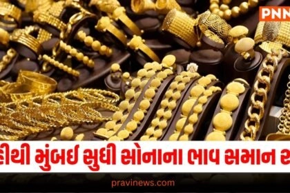 Business News, Business News in Gujarati, બિઝનેસ સમાચાર, personal finance news, Share market news updates, Stock market news, IPO News, NIFTY Update, Latest Business Gujarati News, બિઝનેસ ન્યૂઝ, વ્યાપાર સમાચાર, વ્યાપાર ન્યુઝ, Latest Business News, Live Business Update, Business Headline, Today’s Business Update, Current Business News, Business Live Updates In Pravi News Network, Business News, Business Update,