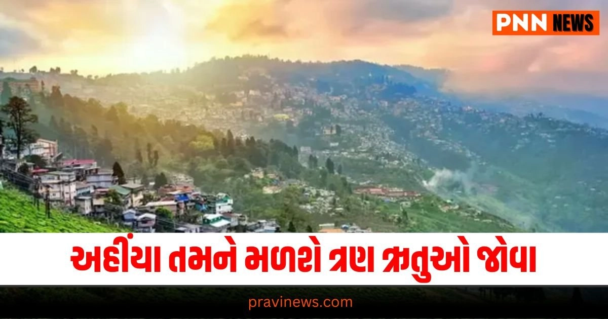 Travel Tips, Travel News, Tourism News in Gujarati, travel News, travel News in Gujarati, પ્રવાસ સમાચાર, ગુજરાતીમાં પ્રવાસ સમાચાર, travel breaking News, travel latest News, travel gujarati news, travel gujarati articles, gujarati News on travel, travel articles in gujarati, travel samachar in gujarati, gujarati samachar travel, travel updates, Latest Travel News, Live Travel Update, Travel News, Travel Update, Travel Headline 2024, Travel Live News In Gujarati, Today’s Travel Update, Current Travel News, Pravi News Network,