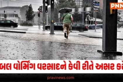 National News, National News, breaking news india, National News Headlines, india news, india news live, india news today, national news, national news headlines, national news india, news headlines india, news today india, today's national news, Current National Update, Pravi News Network, Pravi National News, National Live Update In Pravi News Network, Pravi News National Hedline, Live National News,