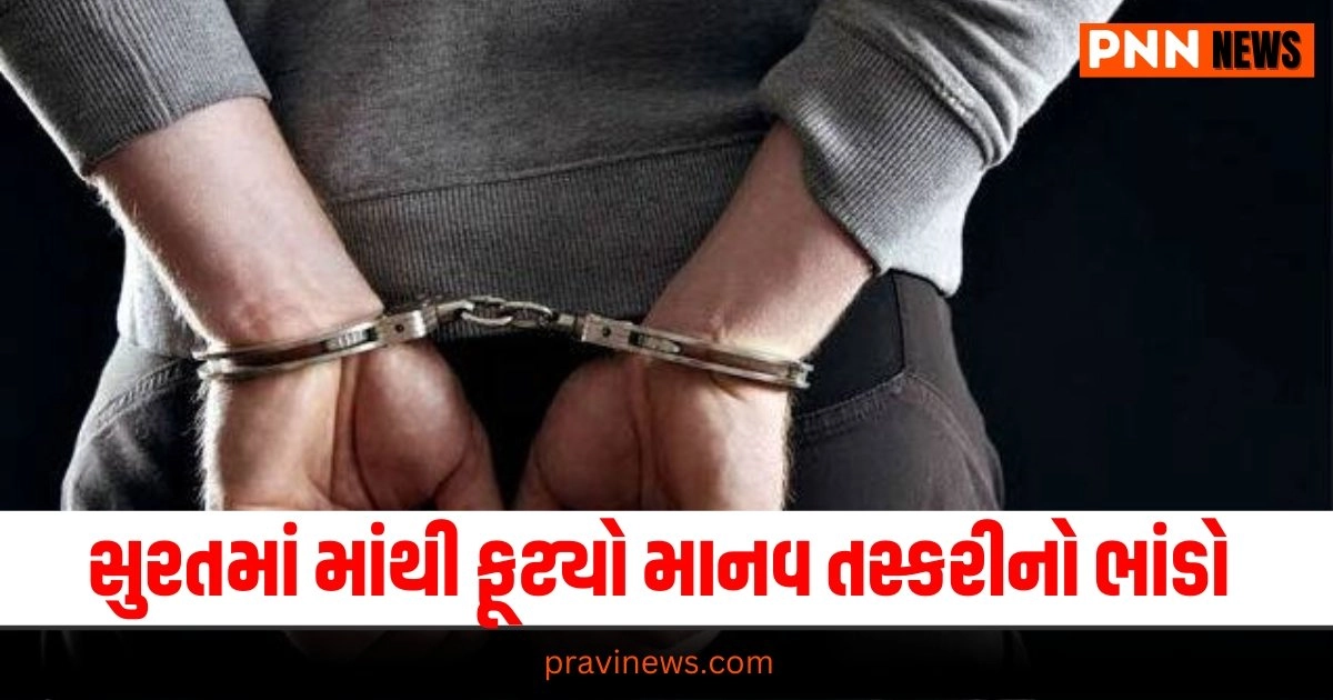 Surat News, Gujarati News, Gujarat News, Latest News in Gujarati, ગુજરાતી ન્યૂઝ, Daily Gujarati News Paper, Latest Gujarat Update, Live Gujarat News, Gujarat Samachar,Gujarat Headline, Today’s Gujarat News, Current Gujarat Upadte, Daily Gujarat News, Live Gujarat News In Pravi News Network,