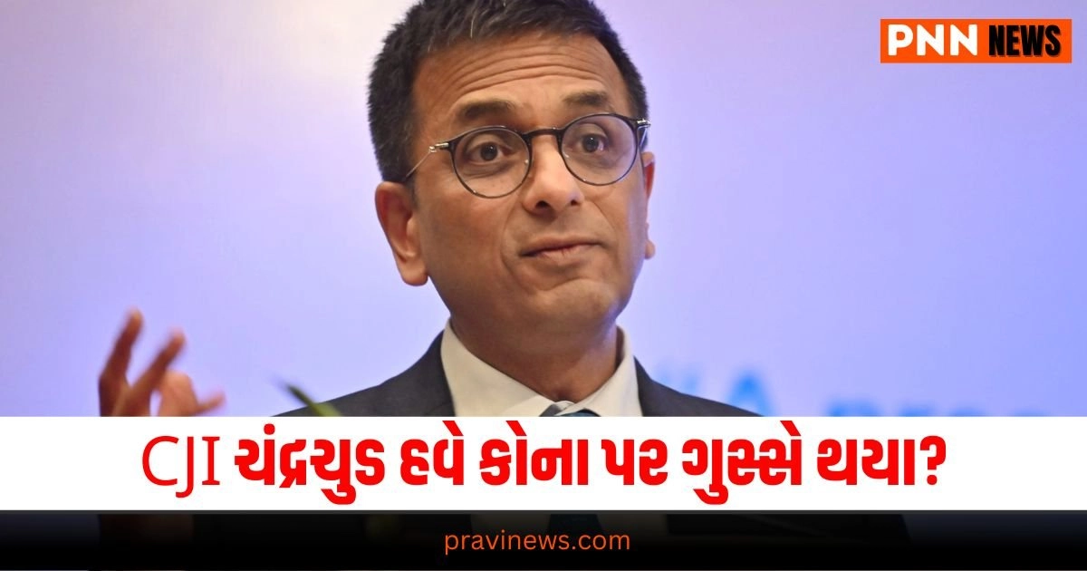 CJI Chandrachud : શું આ ફેશન પરેડ છે? CJI ચંદ્રચુડ હવે કોના પર ગુસ્સે થયા? https://www.pravinews.com/world-news-in-gujarati/big-blow-to-eknath-shinde-government-bombay-high-court-rejects-amendment-law-on-rte-act-2011-21087