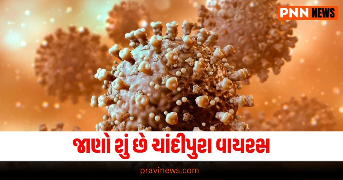 Chandipura Virus, Latest Gujarat update, live Gujarat news, Gujarat news, Gujarat samchaar, todays latest Gujarat news, gujarati samchaar, Gujarat, Gujarat news, current Gujarat update, Gujarat headline, Gujarat update 2024,