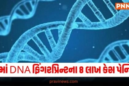 National news, National News, breaking news india, National News Headlines, india news, india news live, india news today, national news, national news headlines, national news india, news headlines india, news today india, today's national news, Current National Update, Pravi News Network, Pravi National News, National Live Update In Pravi News Network, Pravi News National Hedline, Live National News,