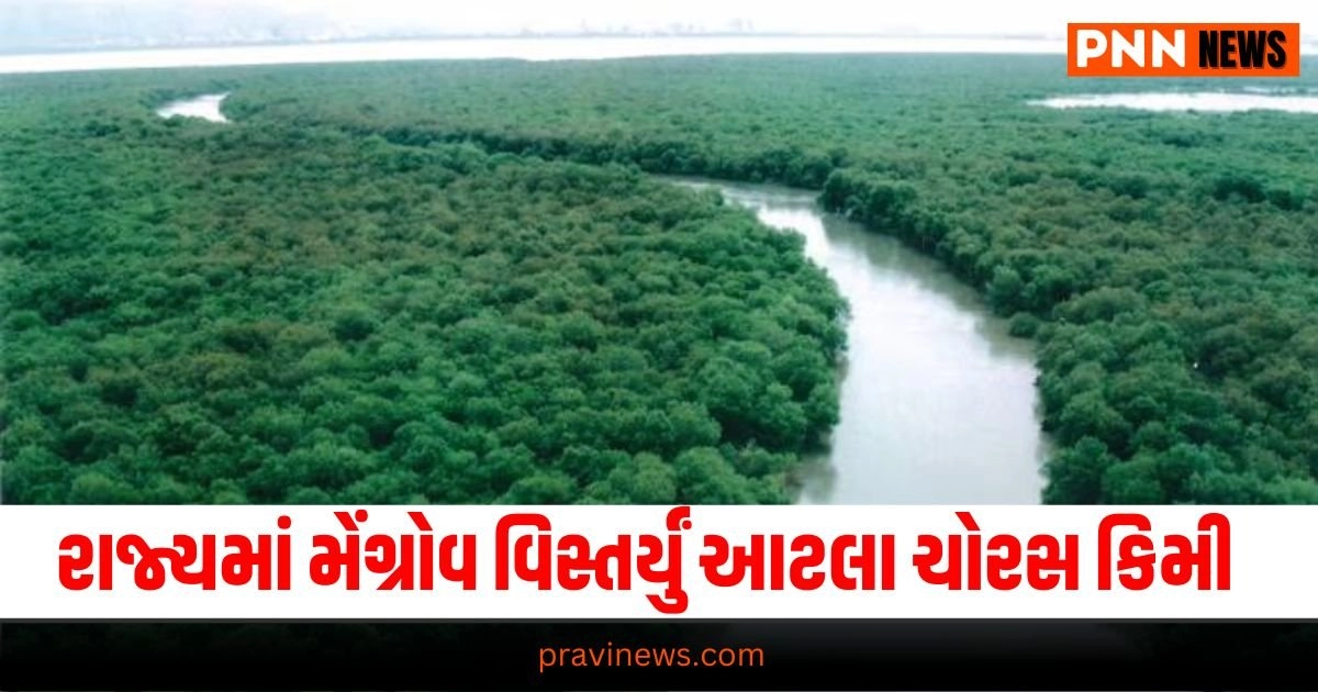 Mangrove cover : રાજ્યમાં મેંગ્રોવ કવર વિસ્તર્યું આટલા ચોરસ કિલોમીટર, આ જિલ્લો પહેલા નંબરે https://www.pravinews.com/business/narendra-modi-to-chair-niti-aayog-governing-council-meet-on-27-july-24024